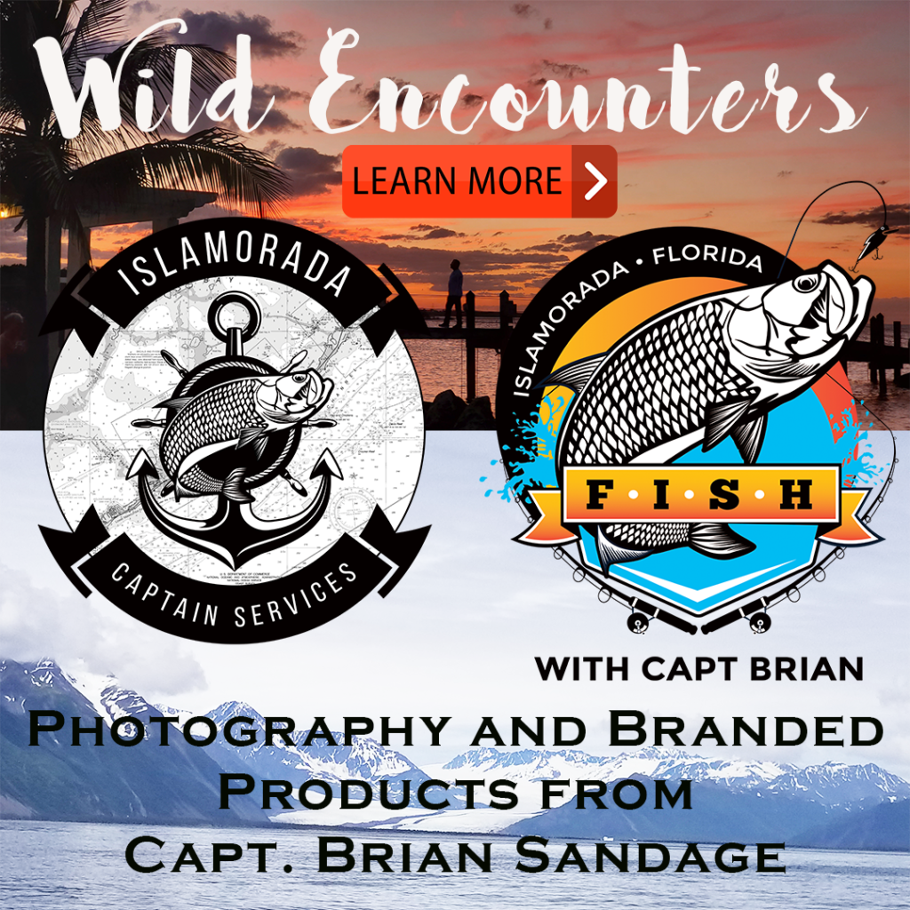 Wild Encounters Photography On Produces - Society6